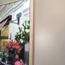 Large Canvas/ Wall Art Image 3
