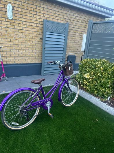 Purple bike with basket
