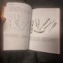 Drawing Still Life  The Fundamentals of Drawing Still Life (Soft cover)  Barrington Barber Image 5