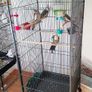 Xl Bird Aviary Cage 146 X 54 X 54 Cm Free Delivery Image 9