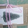 Christmas tree   7ft Image 3
