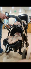icandy peach blossom twin buggy