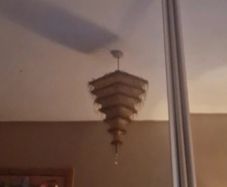 lampshade