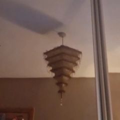 lampshade