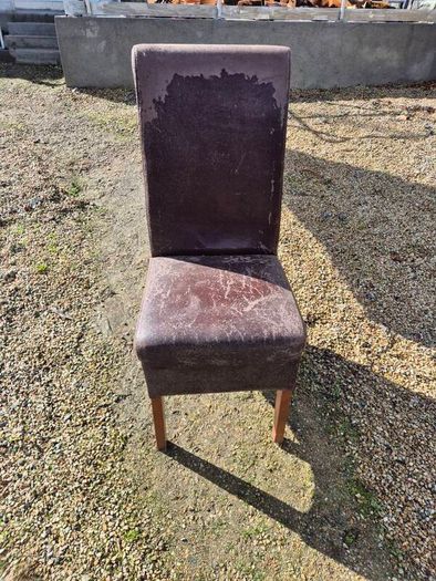 Dining Chairs