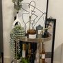 Drinks trolley Image 6