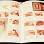 1992. The Ultimate Papercraft And Origami Book. Image 4