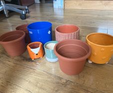 Various plant pots