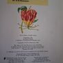 The Bulb Expert / Dr. D. G. Hessayon / 1st ed. 1995 Image 4