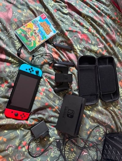 Nintendo Switch  and Animal Crossing