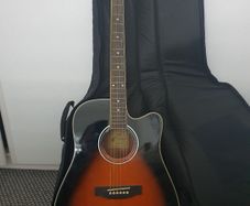 Electric guitar