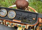 Petrol buggy
