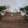 2 David Bust heads, decorative ornaments and artificial plants Image 2