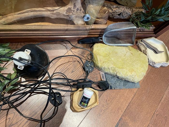 wooden reptile terrarium