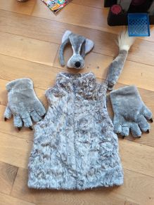 Big Bad Wolf Costume