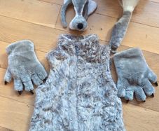 Big Bad Wolf Costume