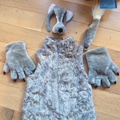 Big Bad Wolf Costume