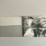 Robert Plant & Alison Krauss Raising Sand CD Digipak NM Image 2