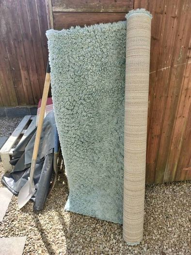 2 large rugs, free, no stains, just dusty