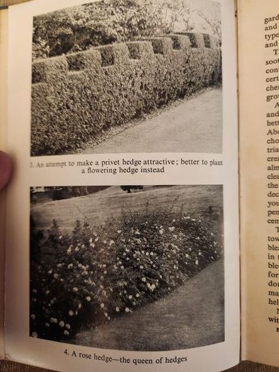 Colour Hedges. By J.l. Beddal.n.d.h. Published By The Gardening  Book Club London. First Editions  1953. Hardback In Good Condition. 36.