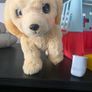 Toys dog Image 4