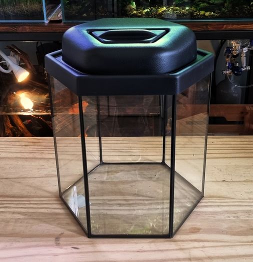 Hexagonal Aquarium 17 litres