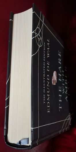 The Hare with Amber Eyes / Edmund De Waal / Illustrated/ 2011
