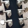 Epiphone ES-335 with Case Image 4