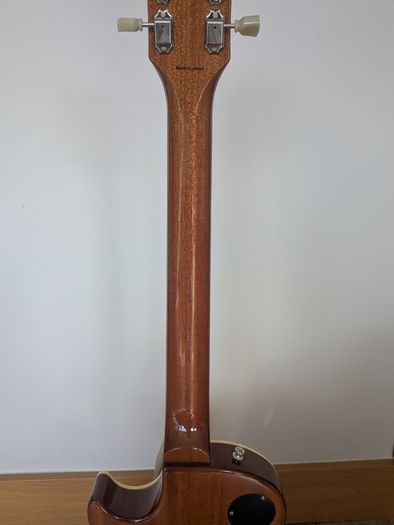 Tokai LS101