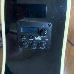 Ashton Semi-Acoustic Bass