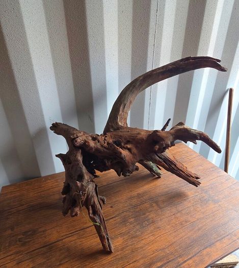 XXL Bogwood Used