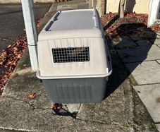 dog box / transporter airline approved