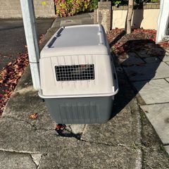 dog box / transporter airline approved
