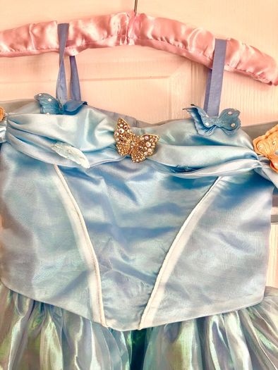 Cinderella costumes