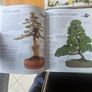The Complete Book Of Bonsai Plus The New Gardner. And The Countru Diary Book Of Flowers. 3 Large Volume Hardback With Dustjacket In Good Condition.  See Photos For Same. Image 4