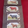 Cigarette Cards from the 1920s,Gallaghers / Players Image 2