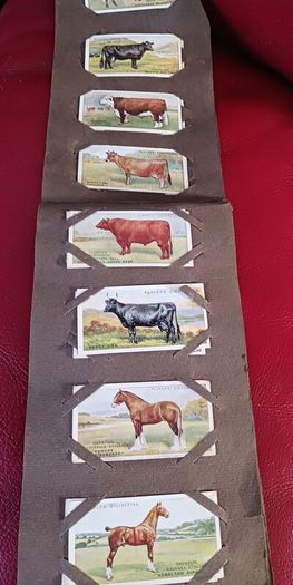 Cigarette Cards from the 1920s,Gallaghers / Players