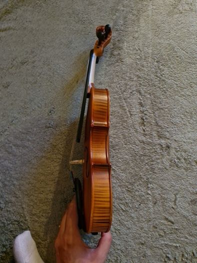 violin