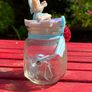 Fairy Wish Jar Image 3