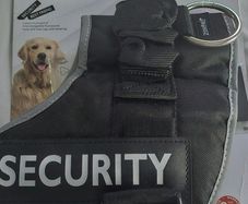 Dog harness