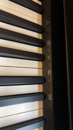 Keyboard/ piano