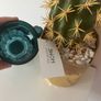 Cactus Big Clearout, Make An Offer Image 4