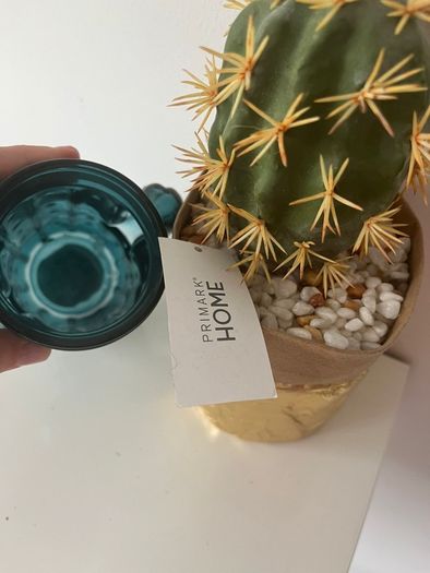 Cactus Big Clearout, Make An Offer