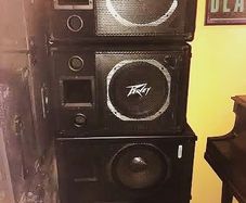 Peavey Speakers/Monitors