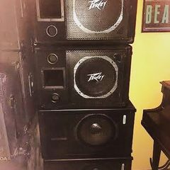 Peavey Speakers/Monitors