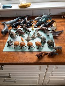 Scheich - Sea animals