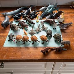 Scheich - Sea animals