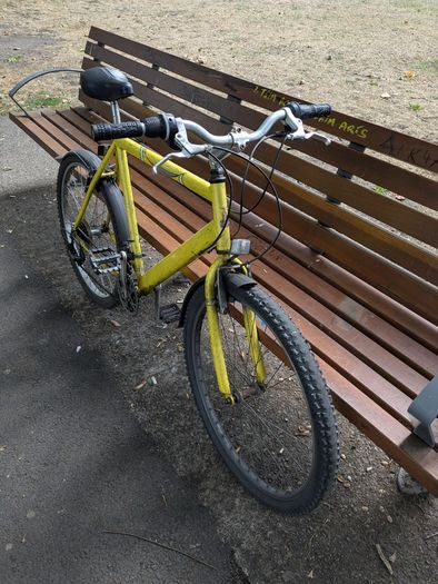 Bicycle Raleigh