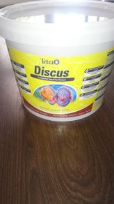 Tetra Discus for all type of tropical fish