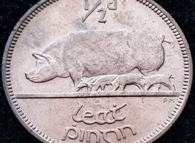 [#144] - Ireland 1942 | Irish 1/2d | Irish Half Penny | Sow | KM.10 | UNC